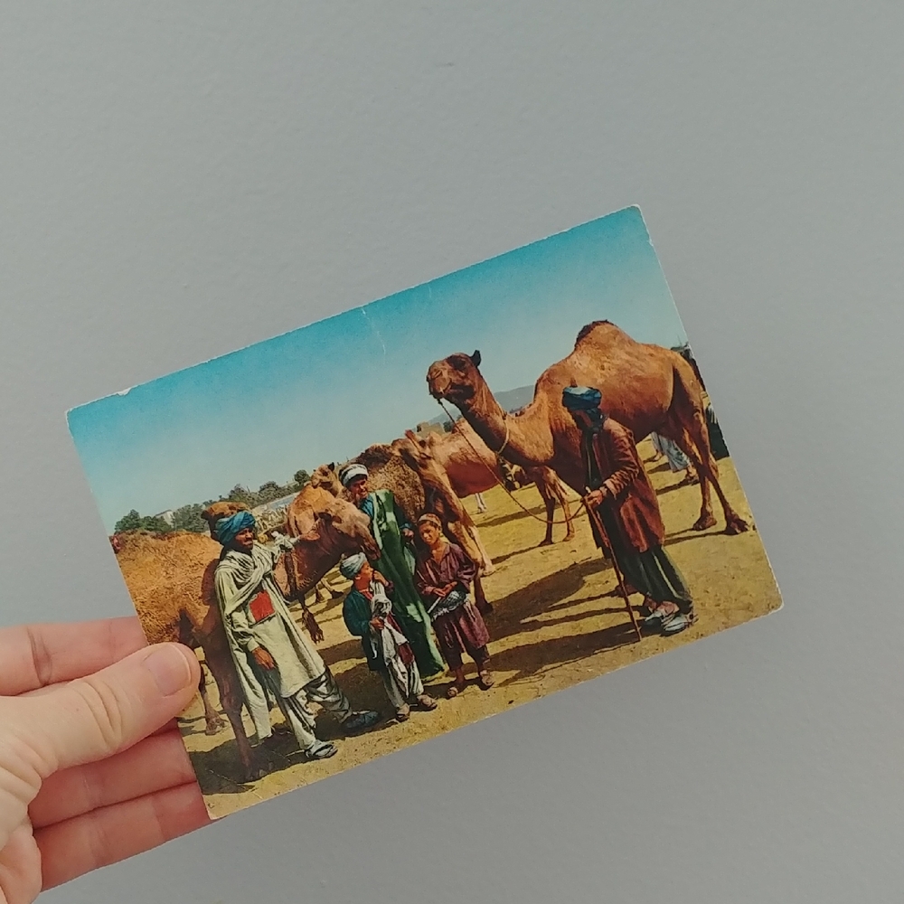 ❤5/10 Used Afghanistan Postcard